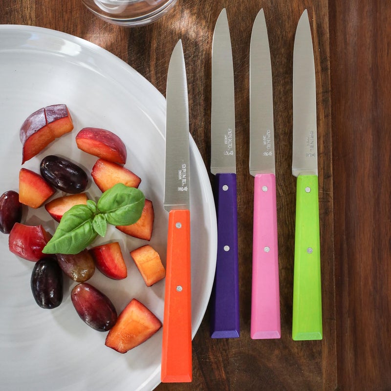 OPINEL No. 125 Table Knives, 4 Piece Set, High Carbon Steel Dinner Knives for Parties, Entertaining, or Everyday Use, Painted Hornbeam Handles, Made in France (POP) - Image 3